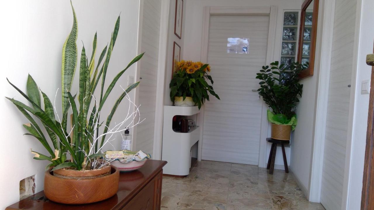 B&B מג'נטה מראה חיצוני תמונה